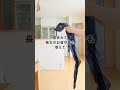 超コンパクトな宅配ボックス導入しました