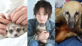 アニマルハウスが全国発売されます。