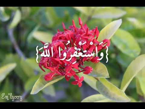 القارئ منصور السالمي واستغفر الله ان الله كان غفورا رحيما من سورة النساء ١٠٦ 106   