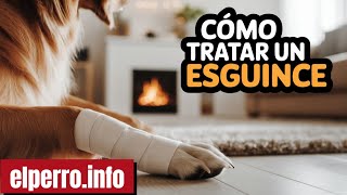 Sprain Care Sprain Care