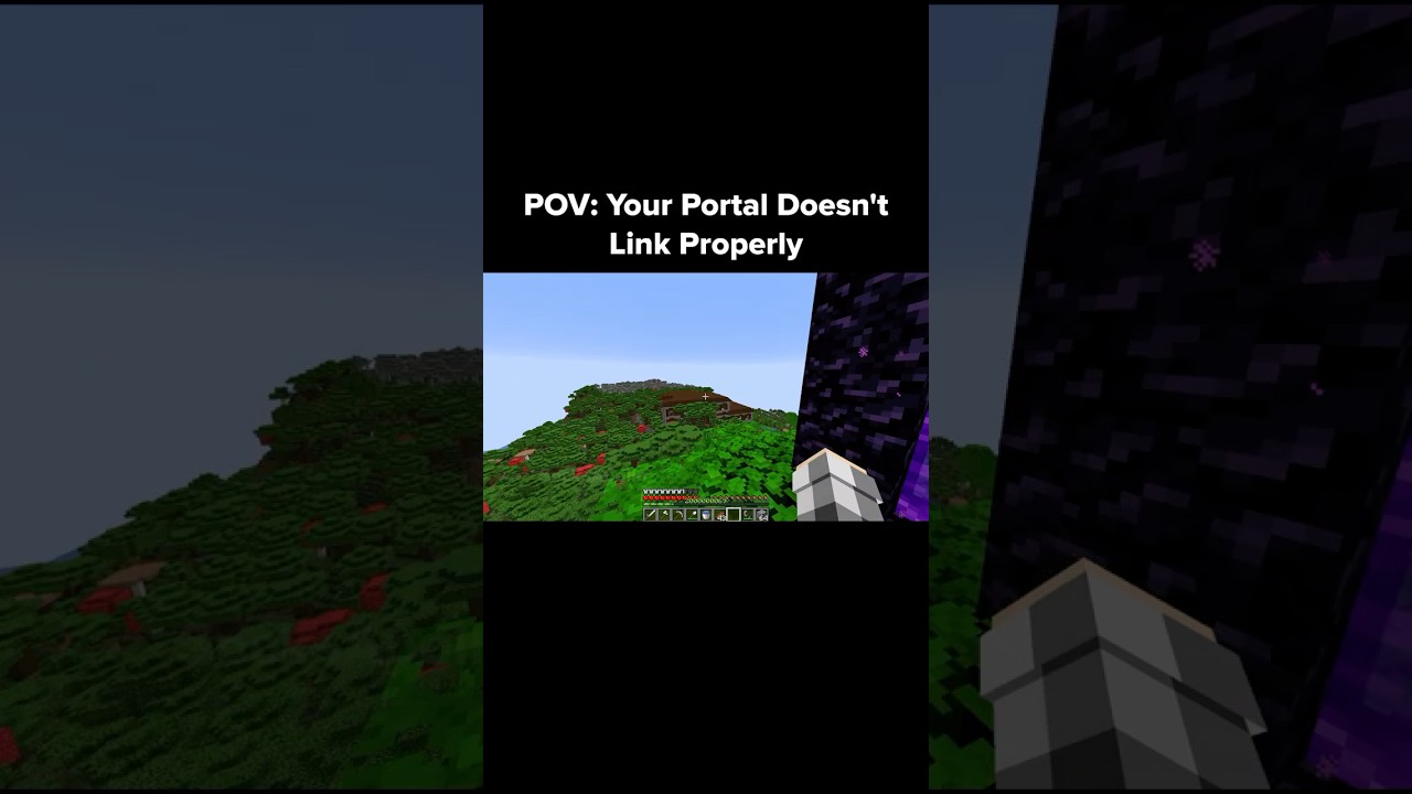 Minecraft Link Moment