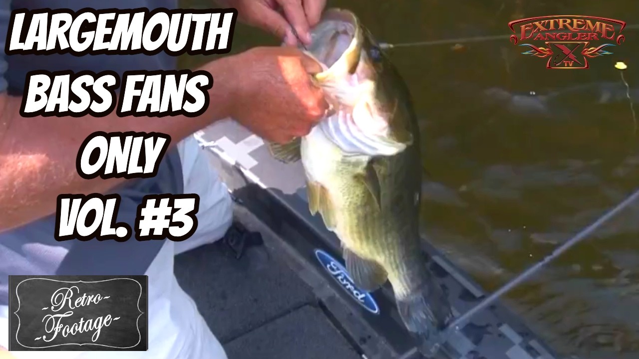 LARGEMOUTH BASS FANS ONLY VOL. #3- How to catch bass