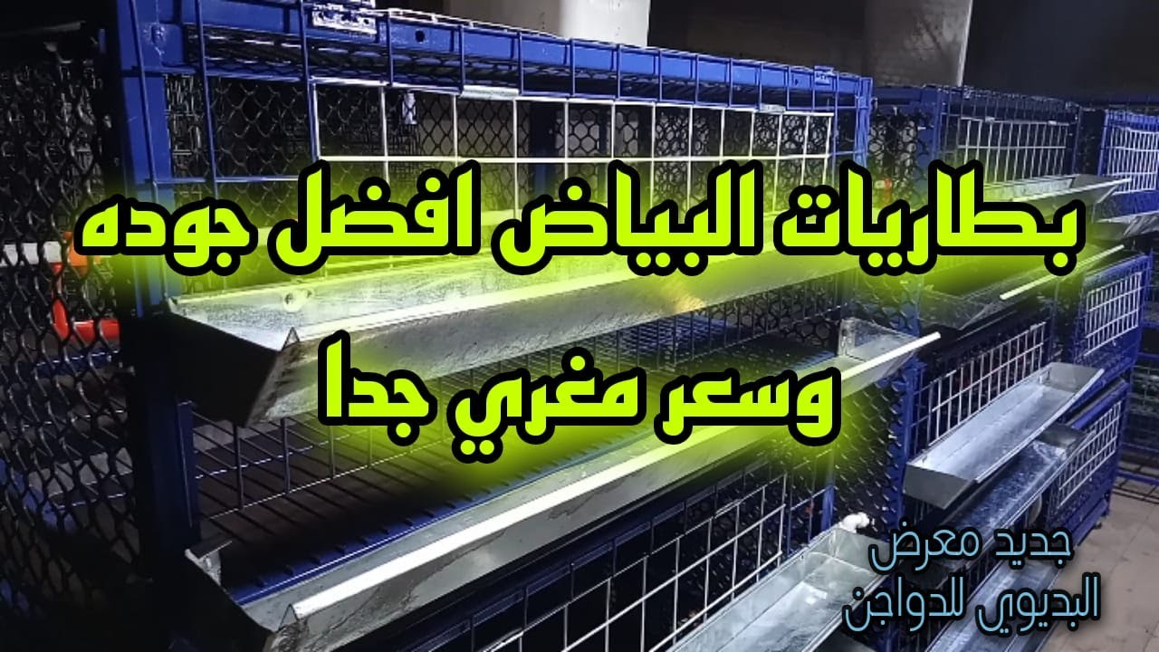 بطاريات البياض افضل جوده علي مستوي الجمهوريه في معرض/البديوي للدواجن