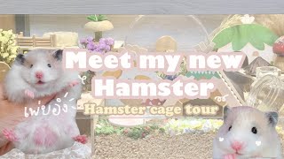 Meet my new hamster | hamster cage tour 🌟