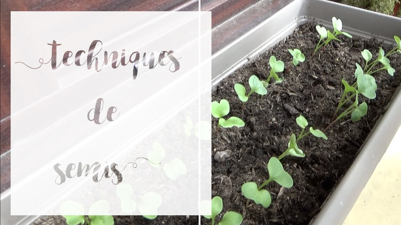 Comment faire les semis | SERIE Semis de printemps - YouTube