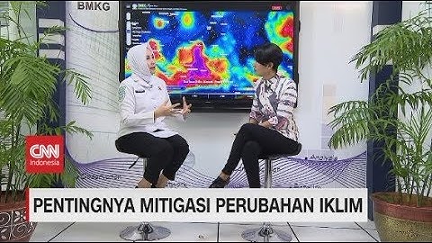 Pentingnya Mitigasi Perubahan Iklim - Insight With Desi Anwar