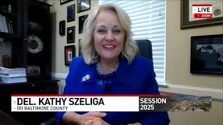 Del. Kathy Szeliga talks Maryland's budget