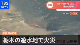 【速報】栃木の遊水地で火災 現在も延焼中