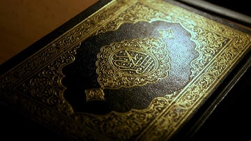 سورة البينة - أبو بكر الشاطري