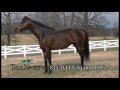 Oaklawn Today for Feb. 13 2016