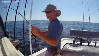 Catching snapper and keeper triggerfish offshore and inshore on 5-14-26.