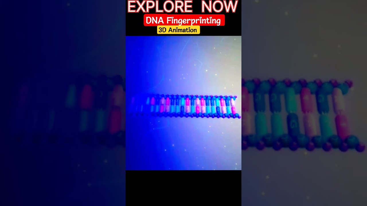 3D DNA FINGERPRINTING 