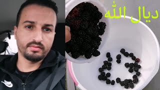 Partager  ميني فلوك احسن عصير طبيعي جربو وتفكرني