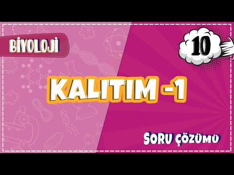 10. Sınıf Biyoloji - Kalıtım - 1 Soru Çözümleri | 2022