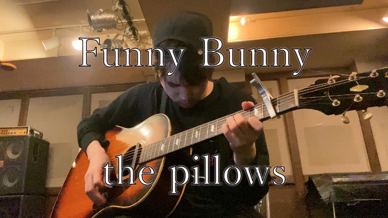 Funny Bunny/the pillows【ギター弾き語り】【8月毎日弾き語りチャレンジ】 YouTube