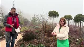 Látogatóban járt nálam Dóri. Hunyort és ericát hozott ajándékba, amiket jól át is beszéltünk. 