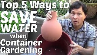 Top 5 Ways to Save Water when Container Gardening