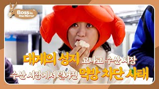 Mental breakdown in front of crabs 🦀 [Boss in the Mirror 338 | KBS WORLD TV 260118