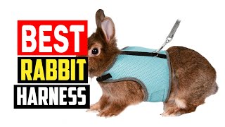 ✅Best Rabbit Harness in 2025 screenshot 2