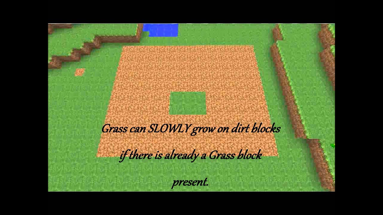 Minecraft - The Dirt Block.