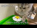 【27秒】ジェックス Catit フラワーファウンテンミニの紹介