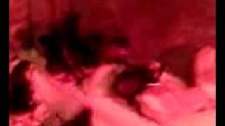 Video009.3gp  Baby chickens