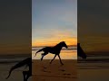 دنيا غروره وكدابه