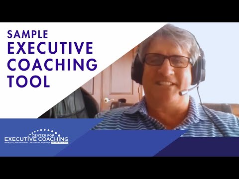 Sample Executive Coaching