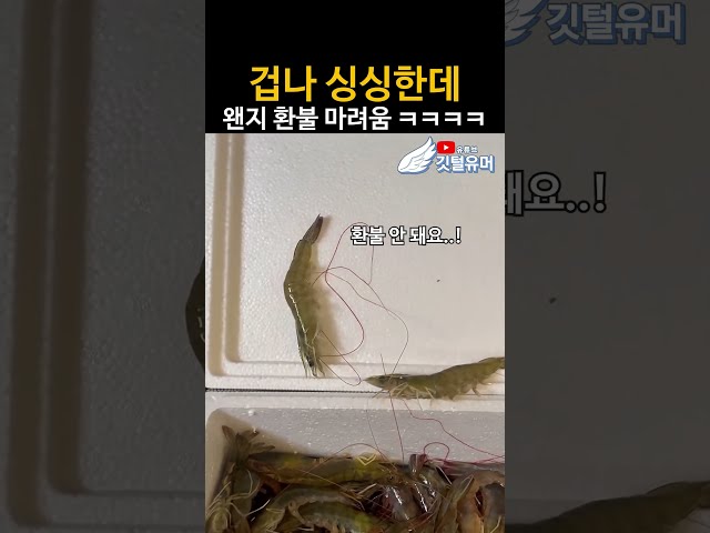 싱싱한 걸 달랬지 살아있는 걸 달랬냐고 ㅋㅋㅋㅋ