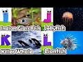 ABC phonics animals | ABC Sea Animals song | English and Animals for Kids #angelfishs