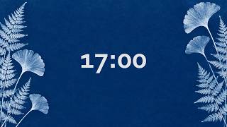 Simple 17 Minute Timer