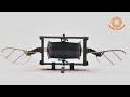 Новый робот-насекомое машет крыльями 500 раз в секунду