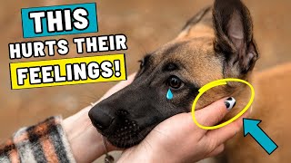 Celebrity 9 Things That Emotionally Hurt Your Dog (99% of Dog Owners Unknowingly Do) Wealth