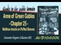 Anne of Green Gables - Chapter 25 - Matthew Insists on Puffed Sleeves Audiobook