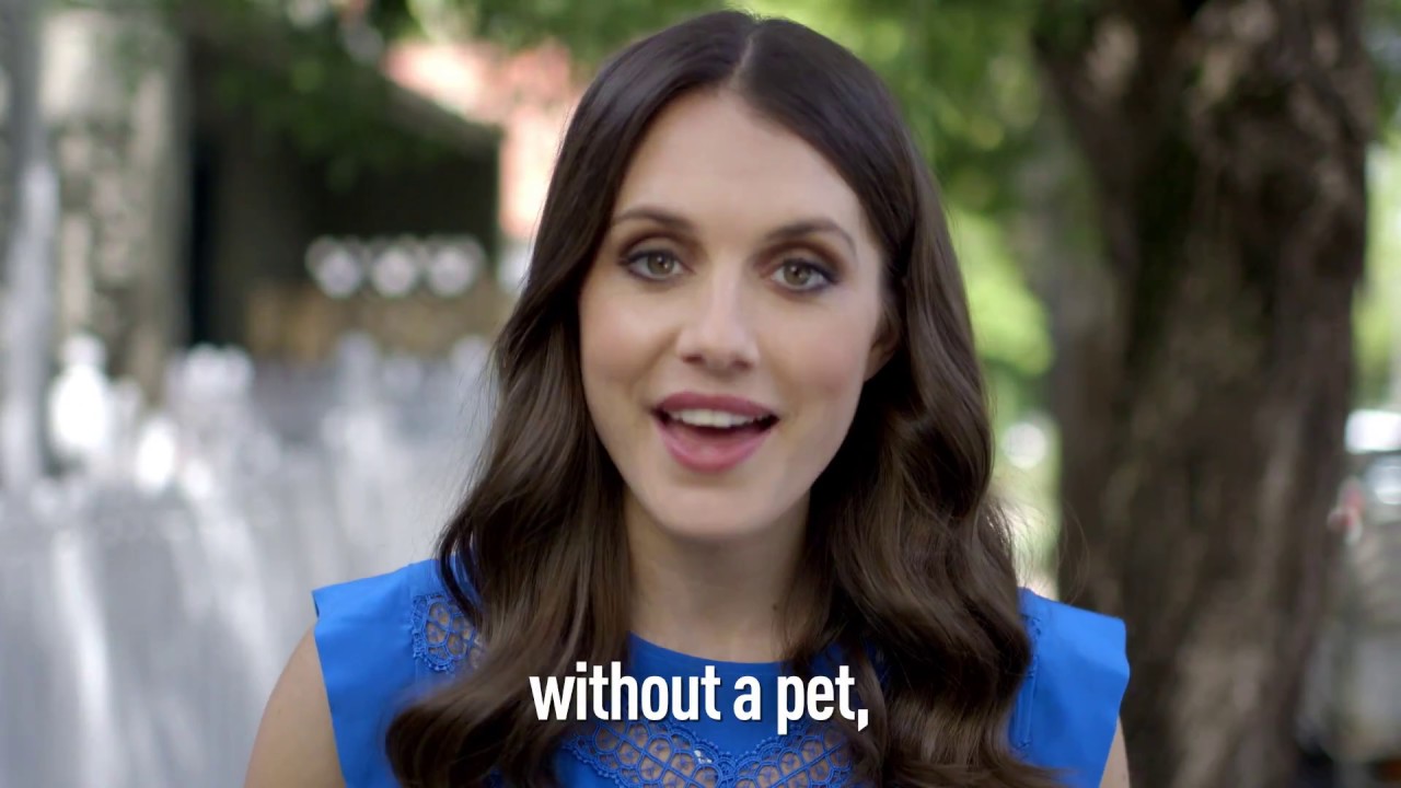 Real Estate & You - Pet Friendly Rental Etiquette