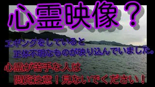 【心霊映像】？ エギングをしていると正体不明なものが映り込んでいました。閲覧注意！