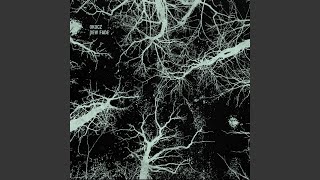 Download Lagu Tunggu saja MP3