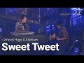 [LIVE] Official髭男dism(오피셜히게단디즘) - Sweet Tweet ライブ (가사번역/한일자막) 2025 unofficial