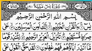 Surah Yasin(Yaseen)Surah Rahman Beautiful recitation|Ayatul Kursi tilawat|Manzil Dua Surah Mulk(558)