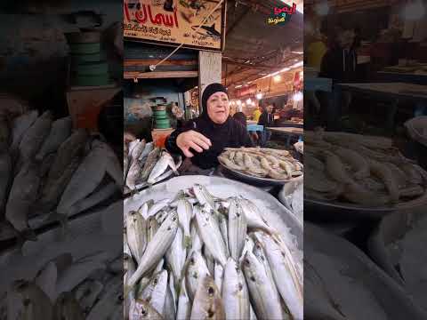 سمك الشخرم السويسي