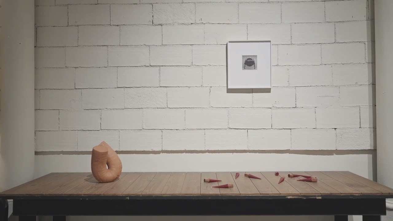 Blueproject Foundation. Colección