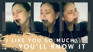 I LIKE YOU SO MUCH, You’ll know it | YSABELLE | A love so beautiful OST | Cover by Faith