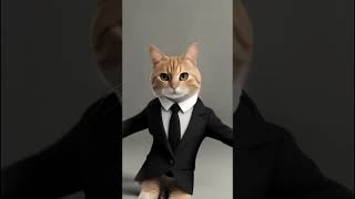 office cat funny dance [ AI VIDEO ]