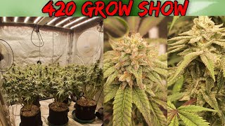 420 Grow Show.  Week 6 of flower . COME UP HANG OUT