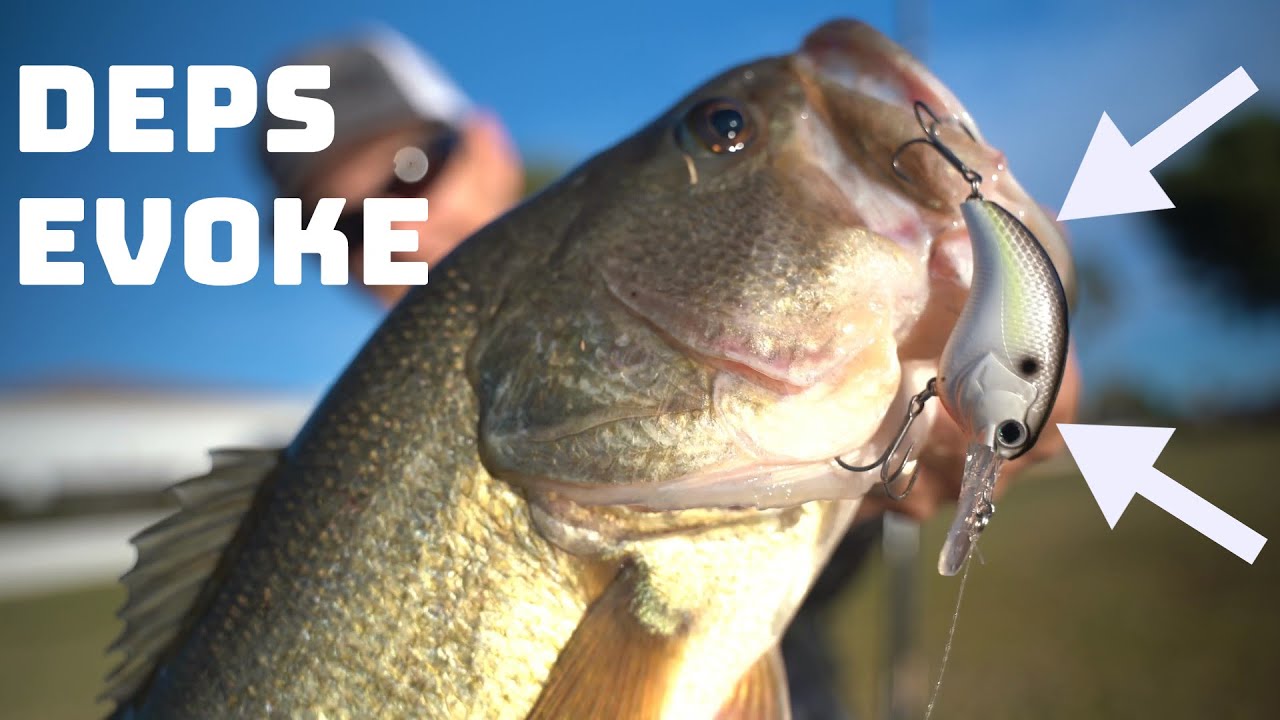 Разбираем весь состав Deps Evoke! Лучший воблер Square Bill?