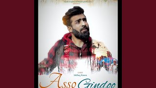 Asso Gindoo