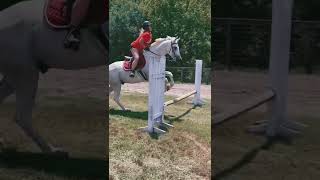 #hunterjumper #hunterjumper #equestrian #lance #edit #