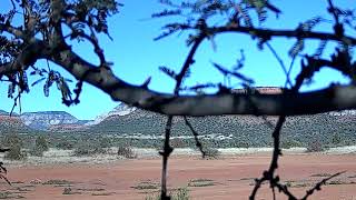 Kris Pickel Oct 2021 video update without text