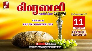 HOLY MASS MALAYALAM | 11 AUG 2026 | LATIN MASS | Rev Fr Sudheer IMS  |TODAY LIVE MASS | GOODNESS TV screenshot 1