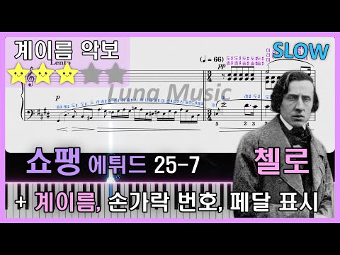 Etude Op.25 No.7 (Cello) 🌙 [Original ver.] (ドレミ付き) - Chopin